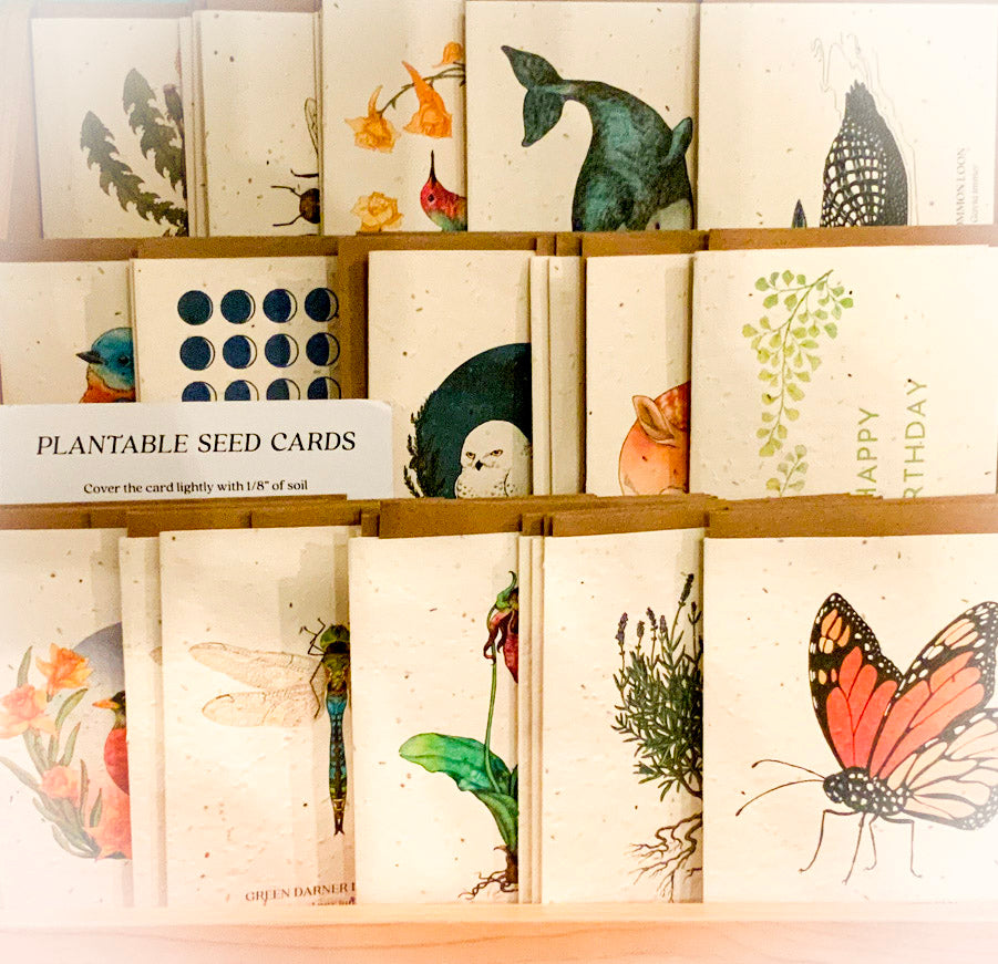 Seed Cards by The Bower Studio