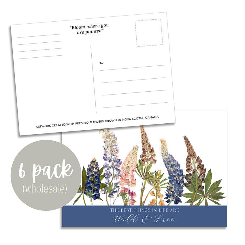 Seek & Bloom Creative Co. - Post Card- 6 Pack Retail Set, Wild Lupins