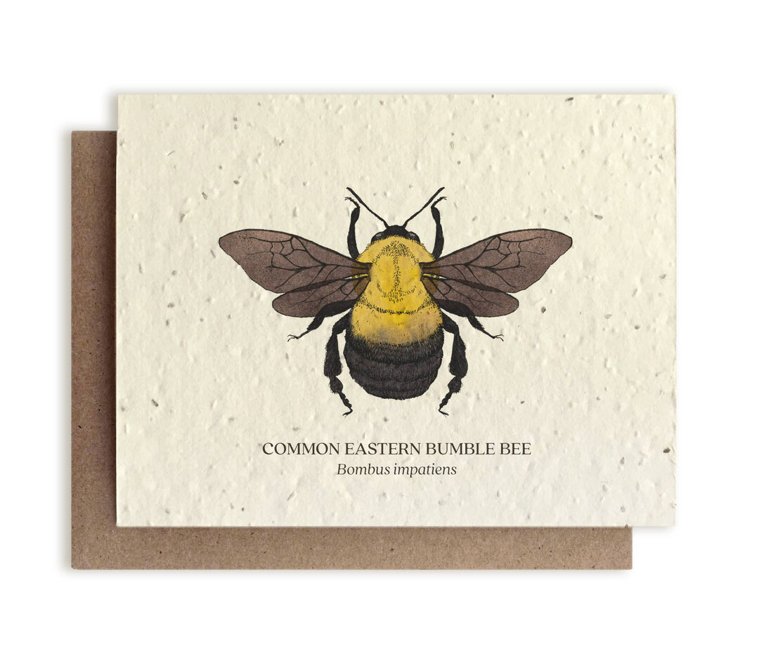 Bumble Bee Greeting Cards - Plantable Seed Paper