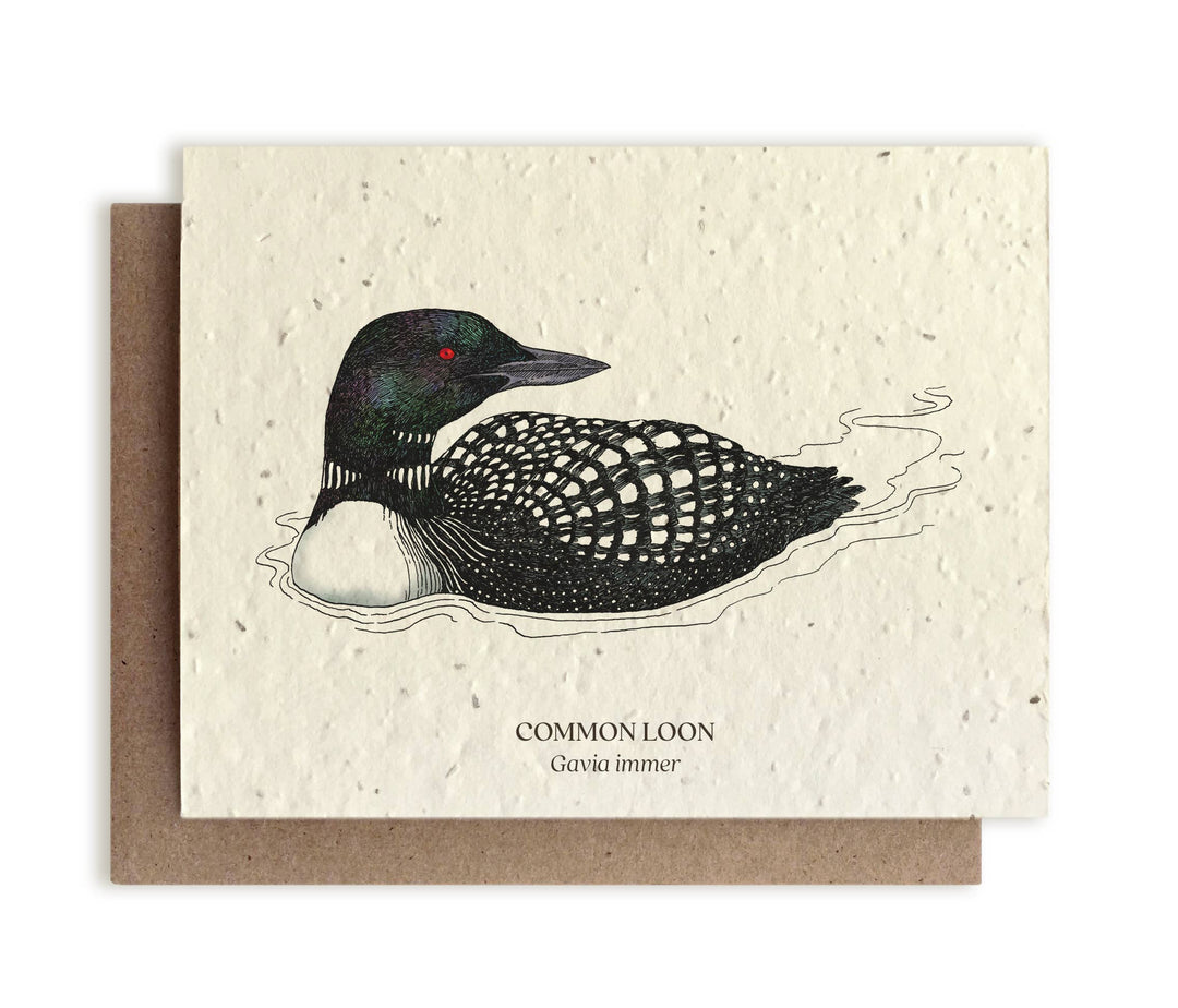 Loon Bird Greeting Cards - Plantable Seed Paper