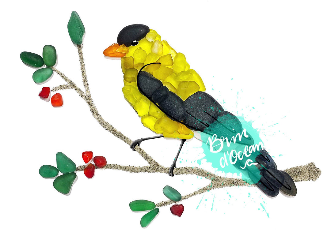 Brin d’Ocean - Golden Finch Sea Glass greeting card,bird, all occasion