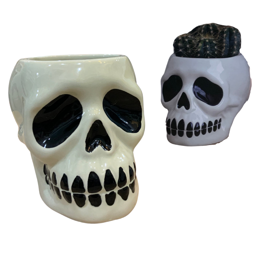 Ceramic Skull Plant Pot