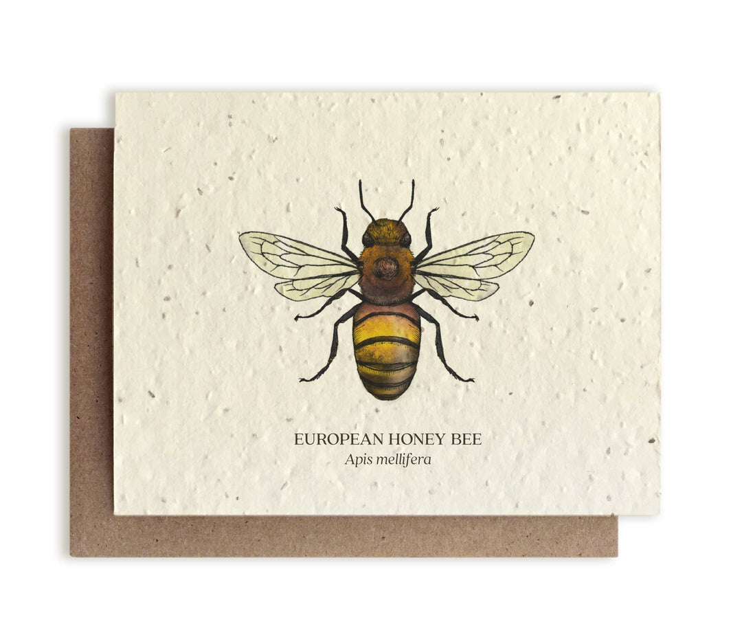 Honey Bee Greeting Cards - Plantable Seed Paper