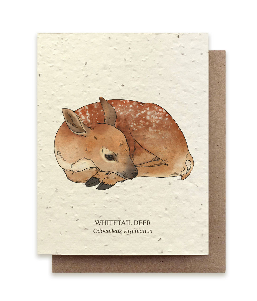 Deer Animal Greeting Cards - Plantable Seed Paper