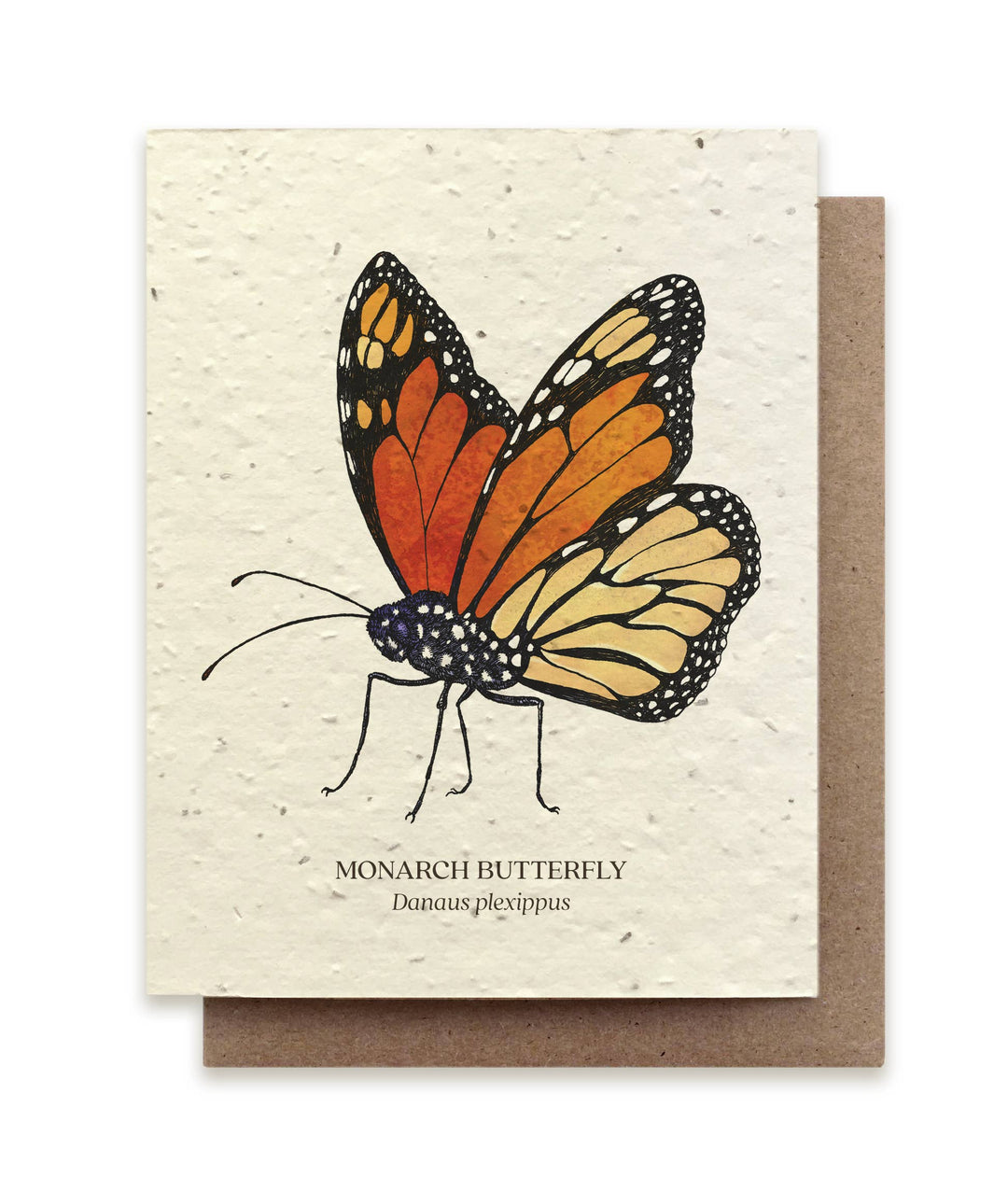 Monarch Butterfly Greeting Cards - Plantable Seed Paper
